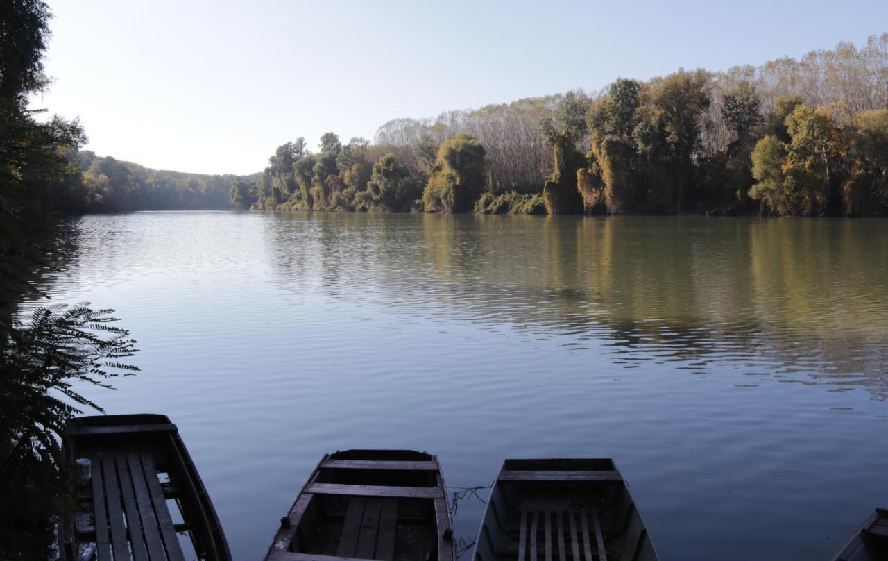 Oeko Kemping Es Glamping Tiszadada Exterior foto